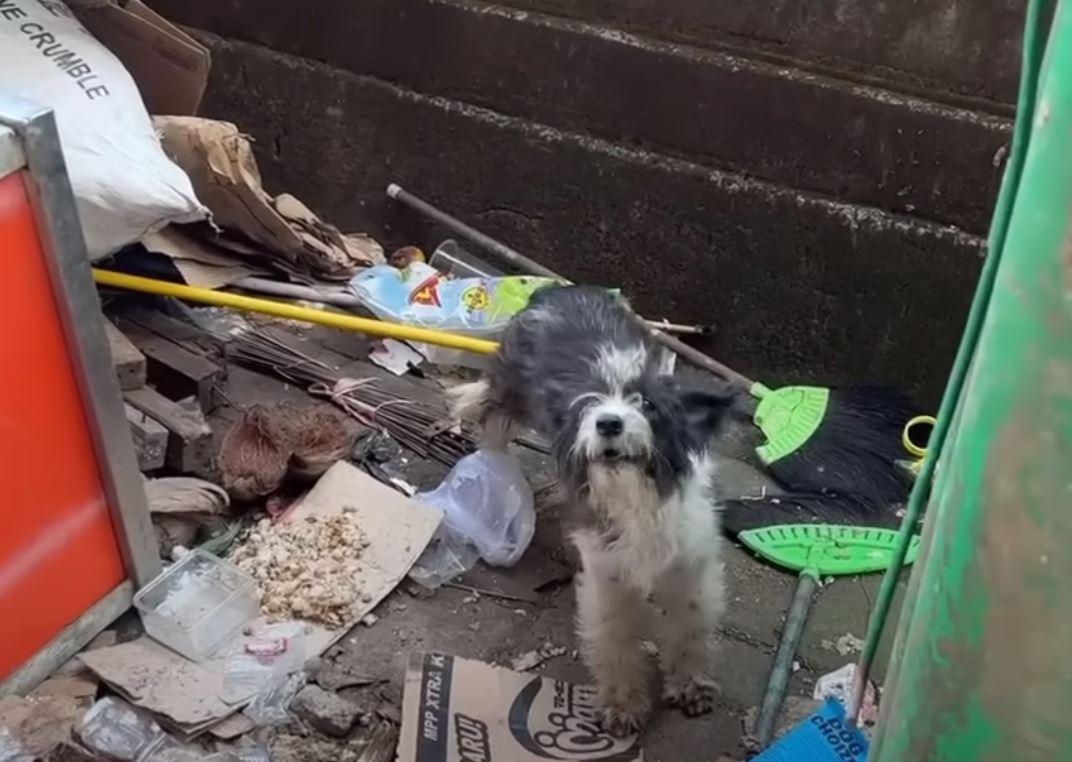 Initially wary of the rescue team, Indah...