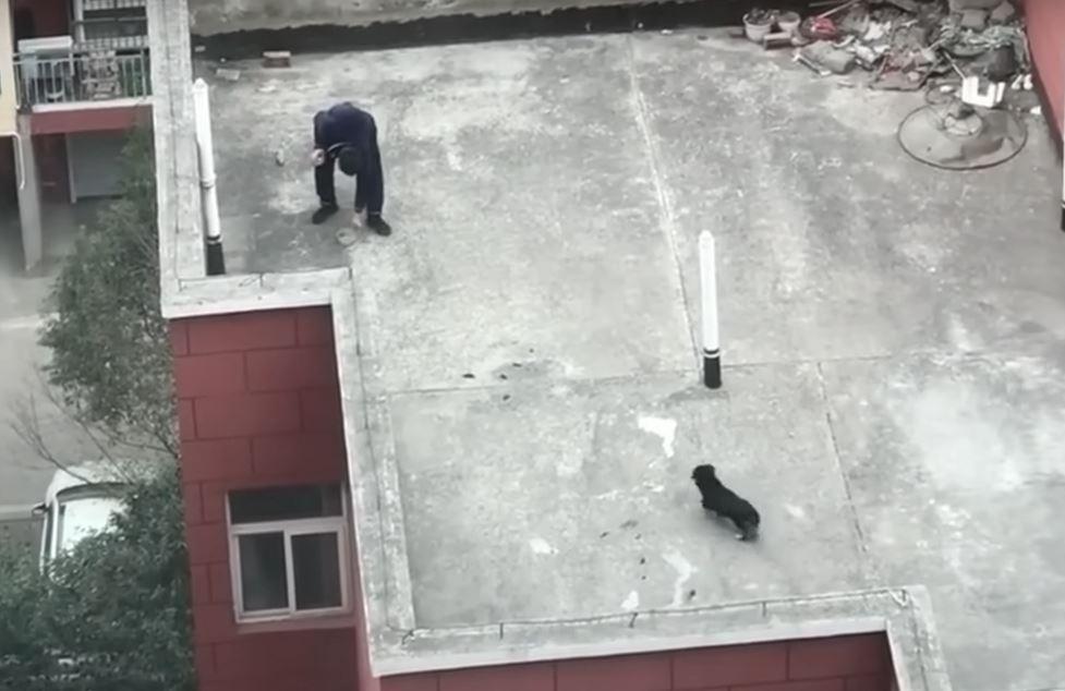 Realizing the urgency of the situation, ...