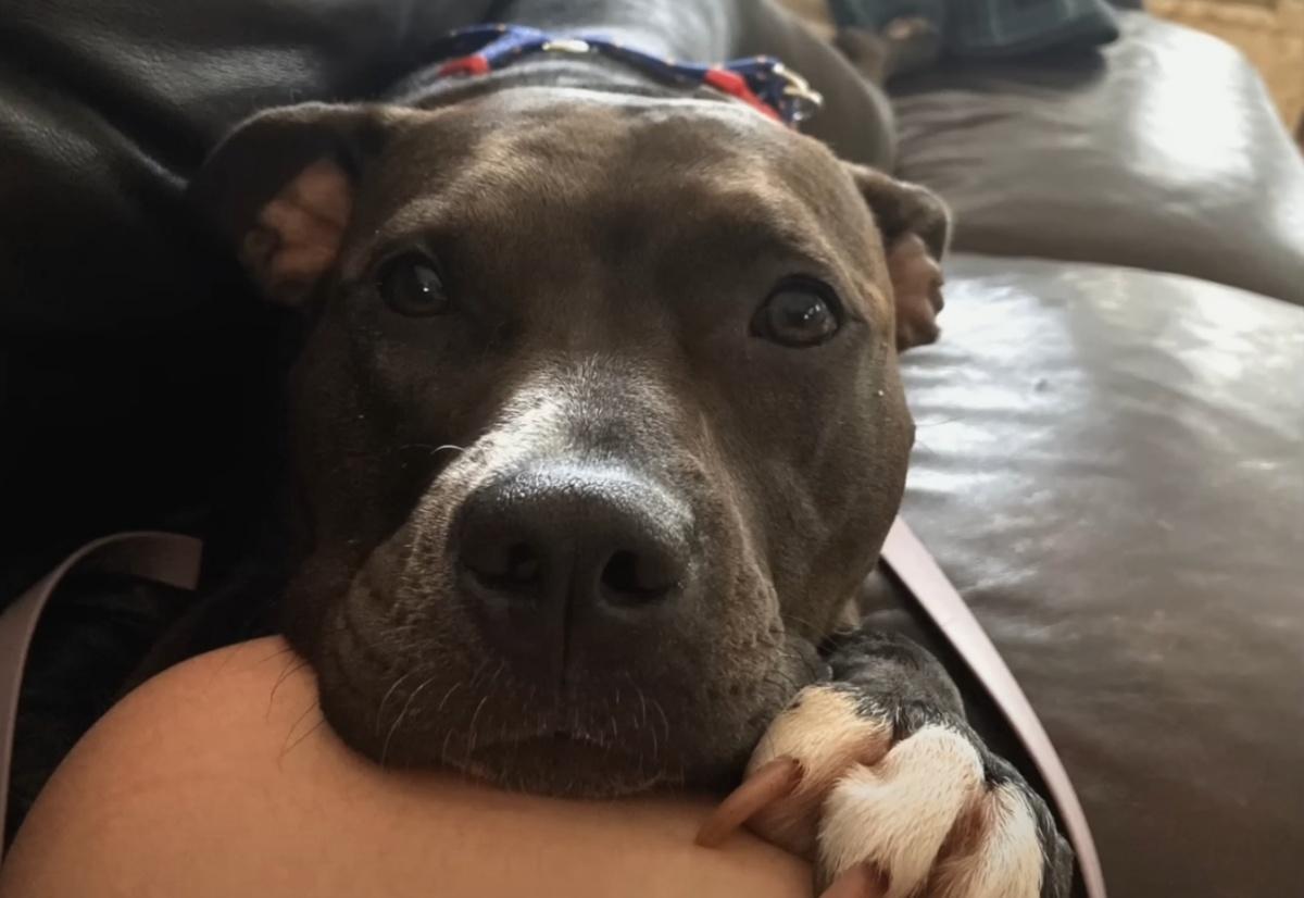 Micky was amazed by Moose's calm and fri...