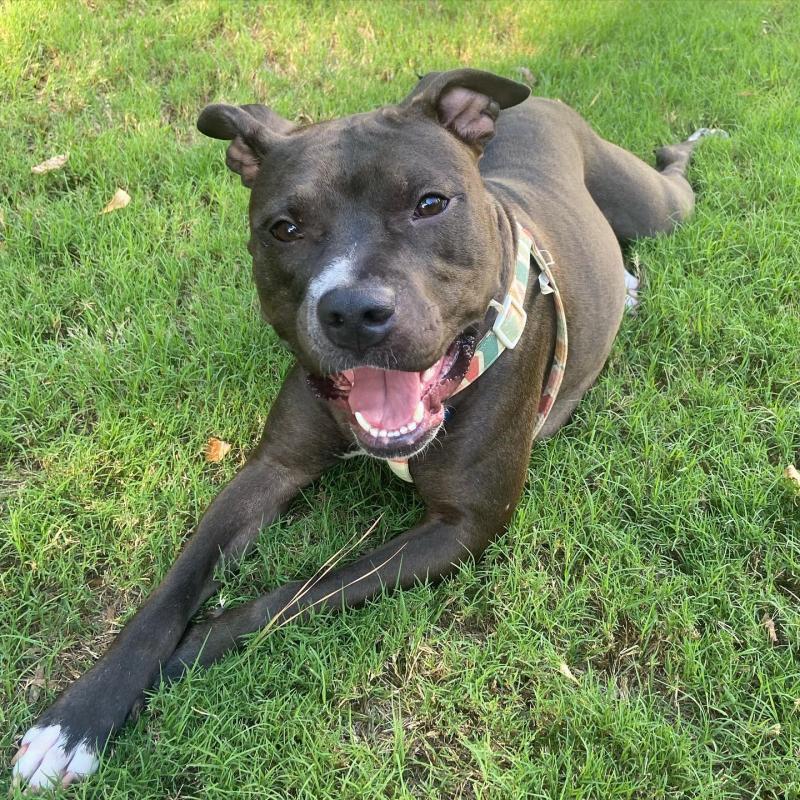 A year and a half into her new life with...