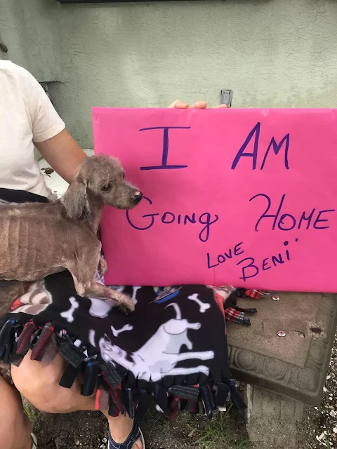 Despite the odds, Beni's condition began...