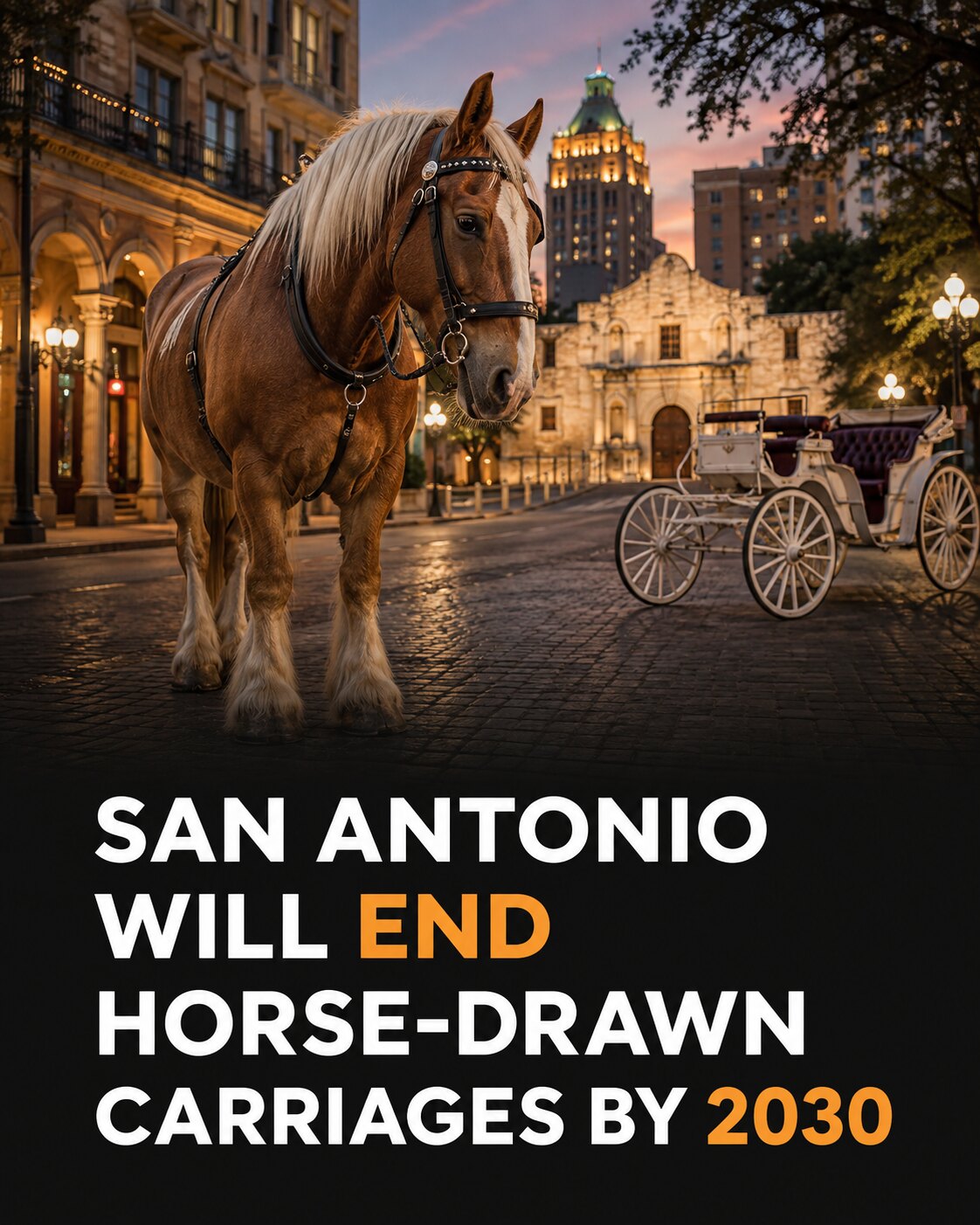 Draft horse on a San Antonio street with headline about the 2030 carriage phaseout