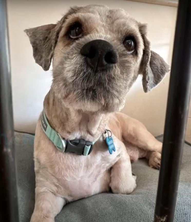 Following his makeover, Charlie enjoyed ...