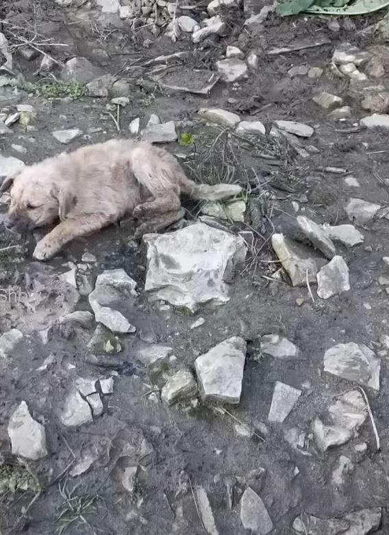 Six days later, the unexpected happened....