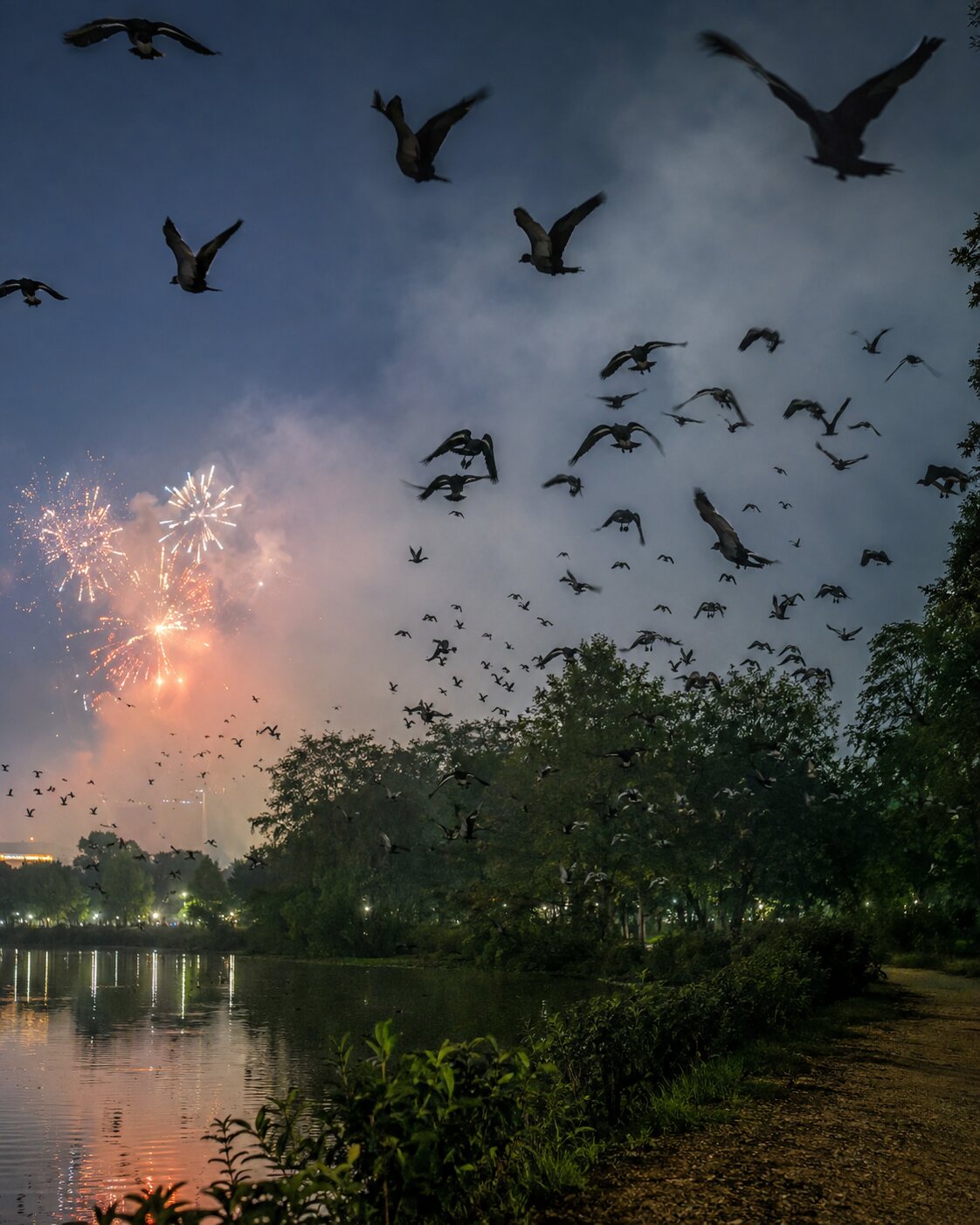 Wild birds take flight over a park and lake as distant fireworks flash.