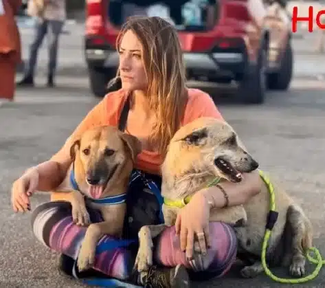 Extra image from article