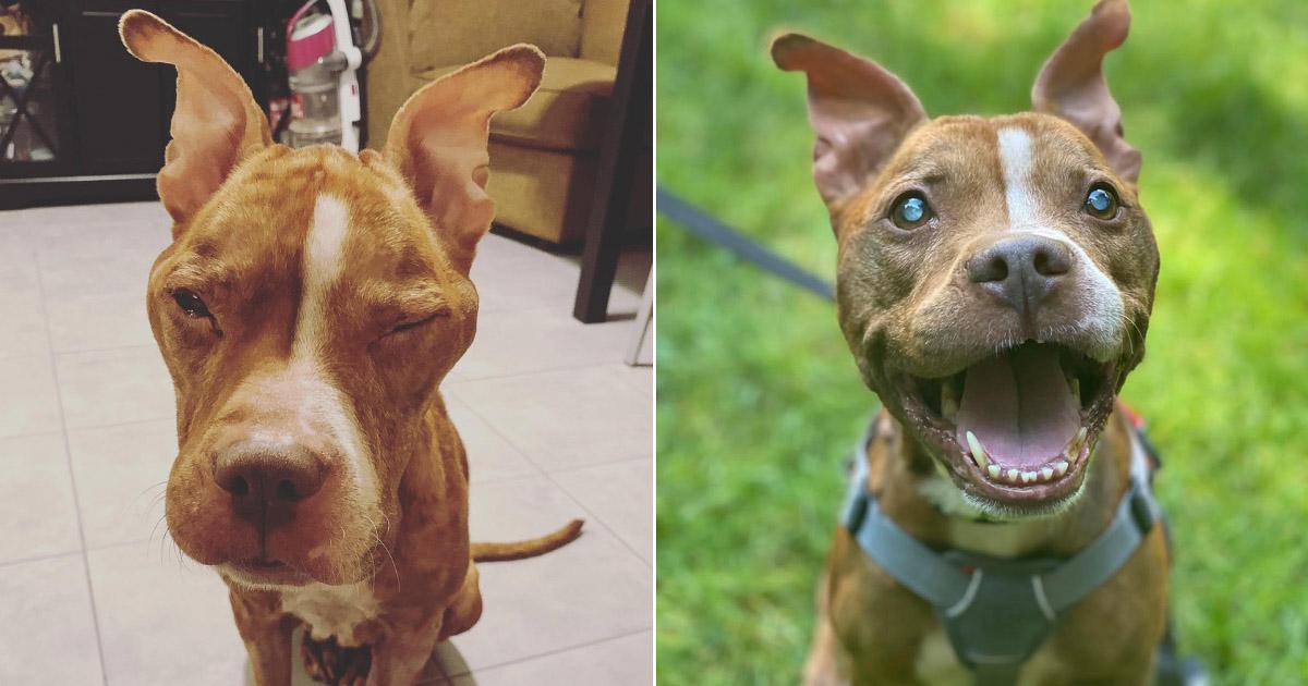 Hazel's story is one of resilience and t...