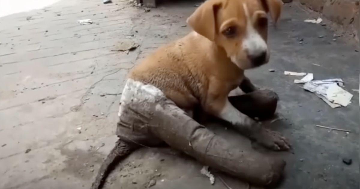 Thankfully, a few kind-hearted people de...