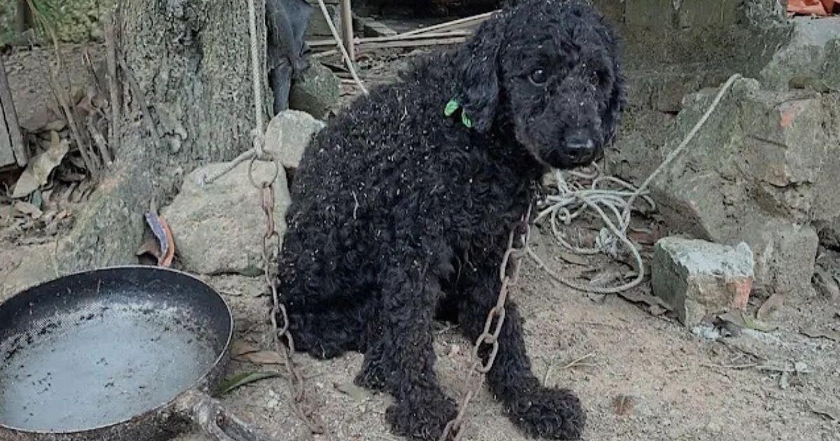 Amid these harsh circumstances, where ot...