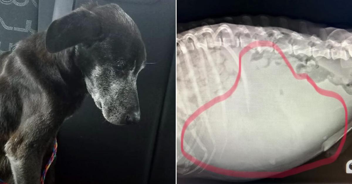 He was found by the police during a raid...