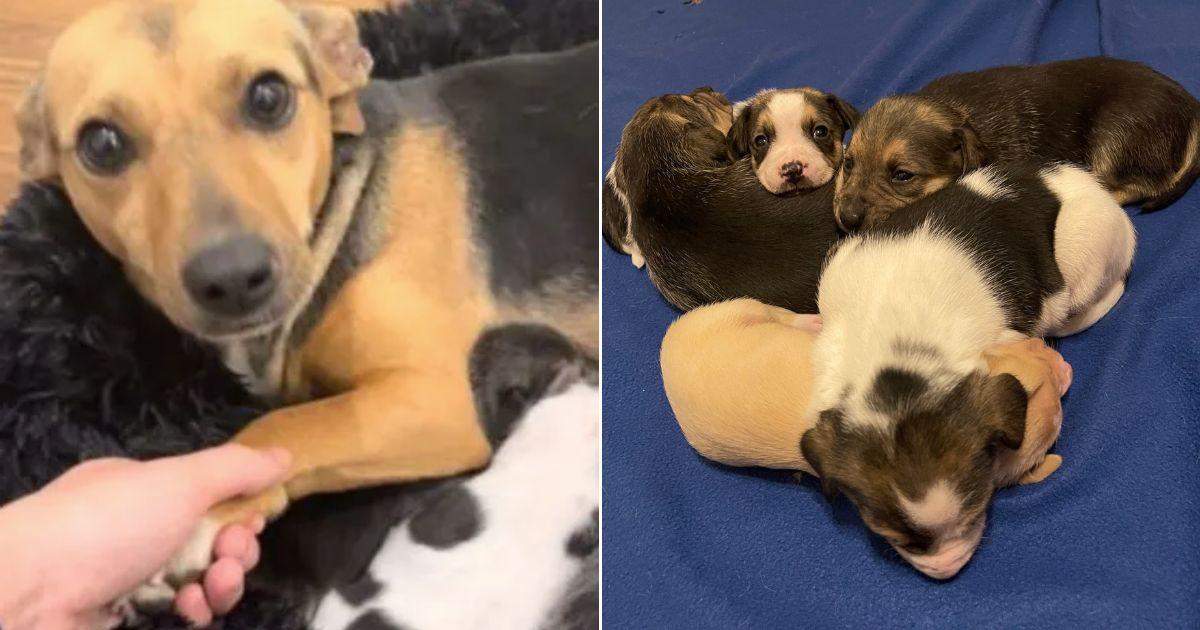This heartwarming tale caught the attent...