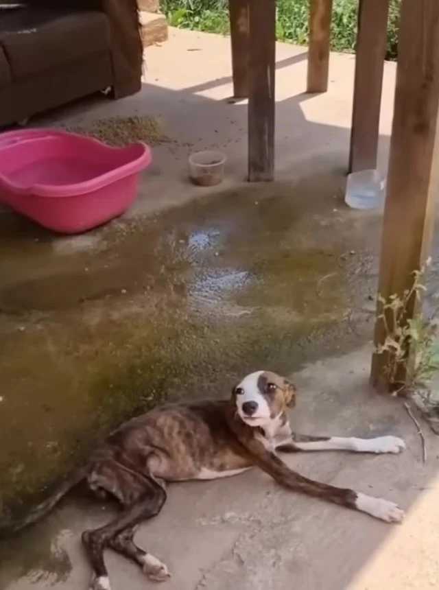 While she still suffered from severe dia...