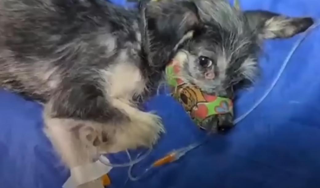 This was the heartbreaking reality for A...
