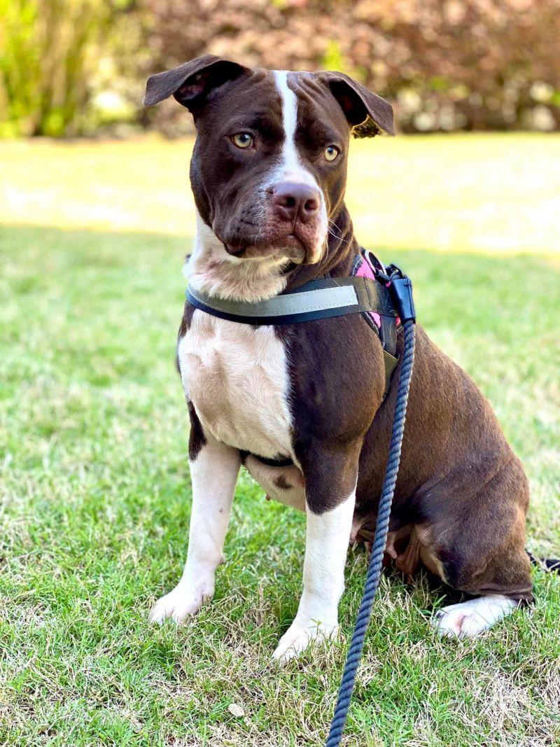 With the help of their foster carer, Hea...