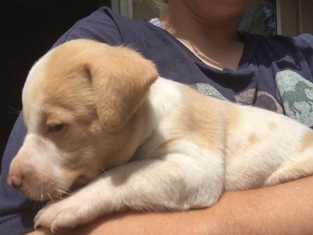 Shortly after being rescued, while waiti...
