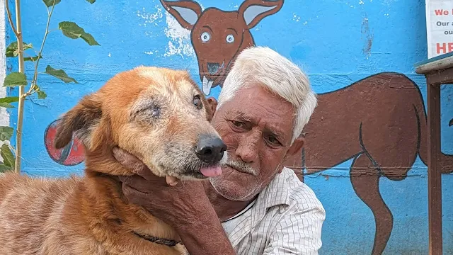 Extra image from article