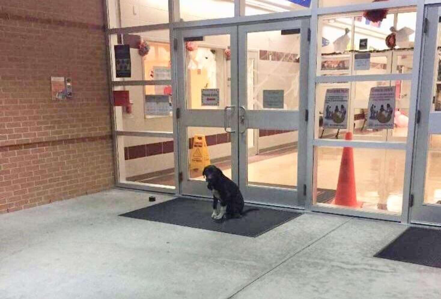 Once Schaffer’s classes ended, he return...