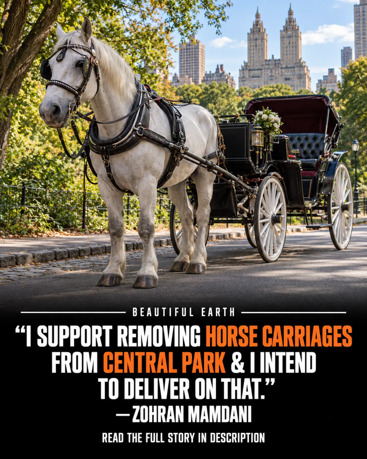 A carriage horse beside an empty carriage in Central Park with a quote from Mayor Zohran Mamdani