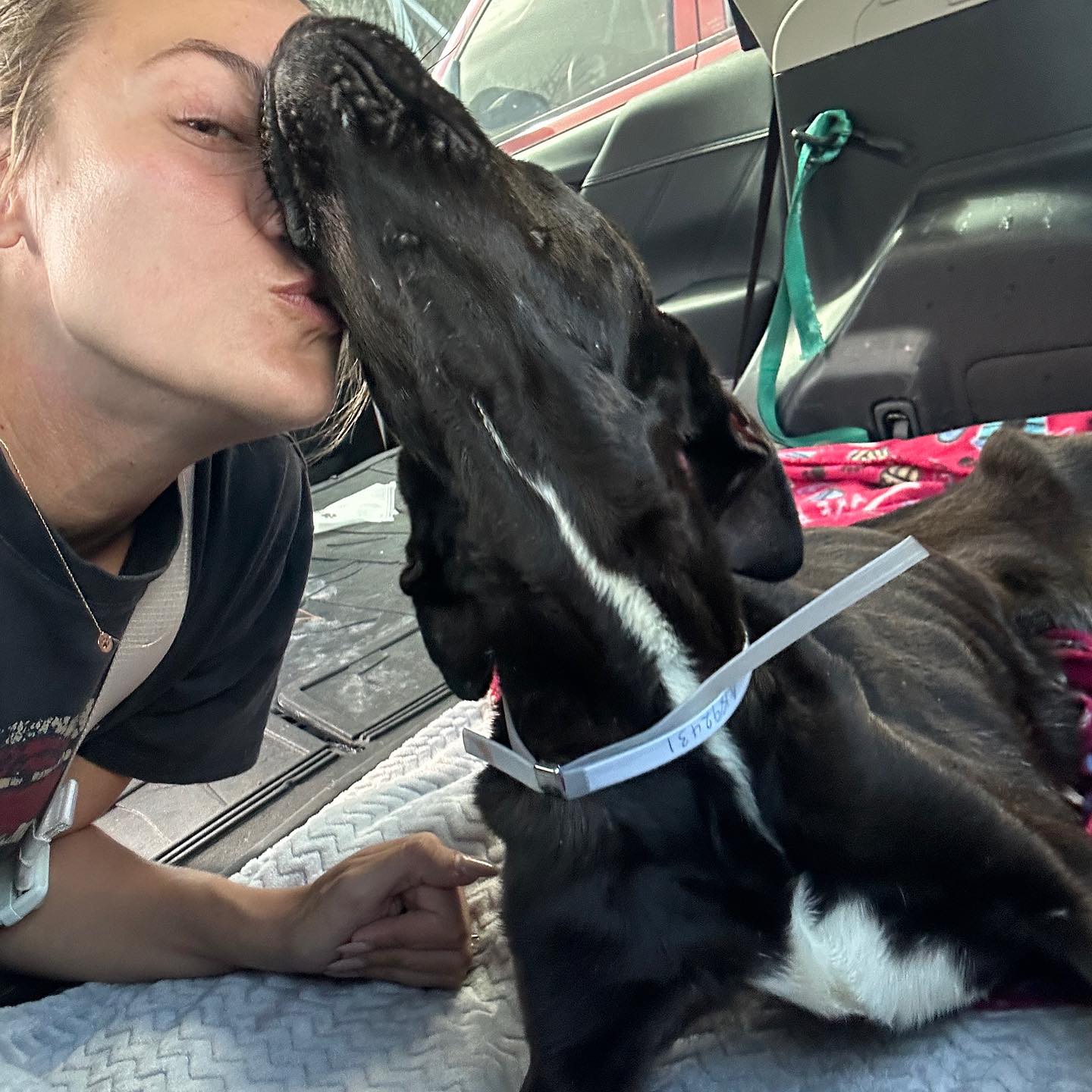 Upon arriving at her foster home, Coral ...