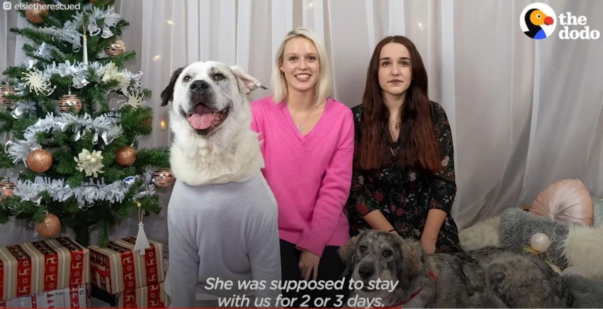 Extra image from article