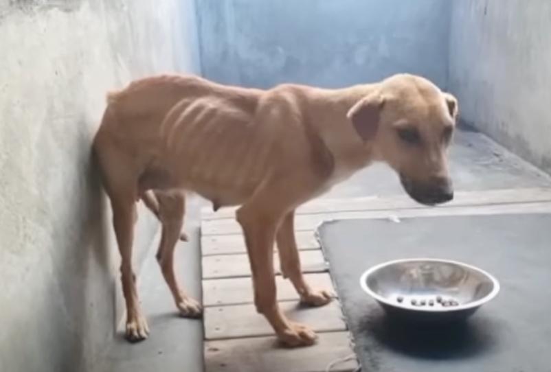 Despite the circumstances, she clung to ...