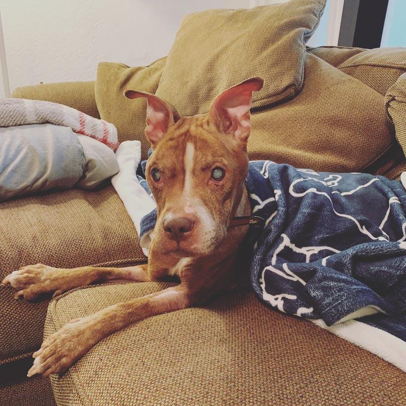 Thanks to the committed veterinarians at...