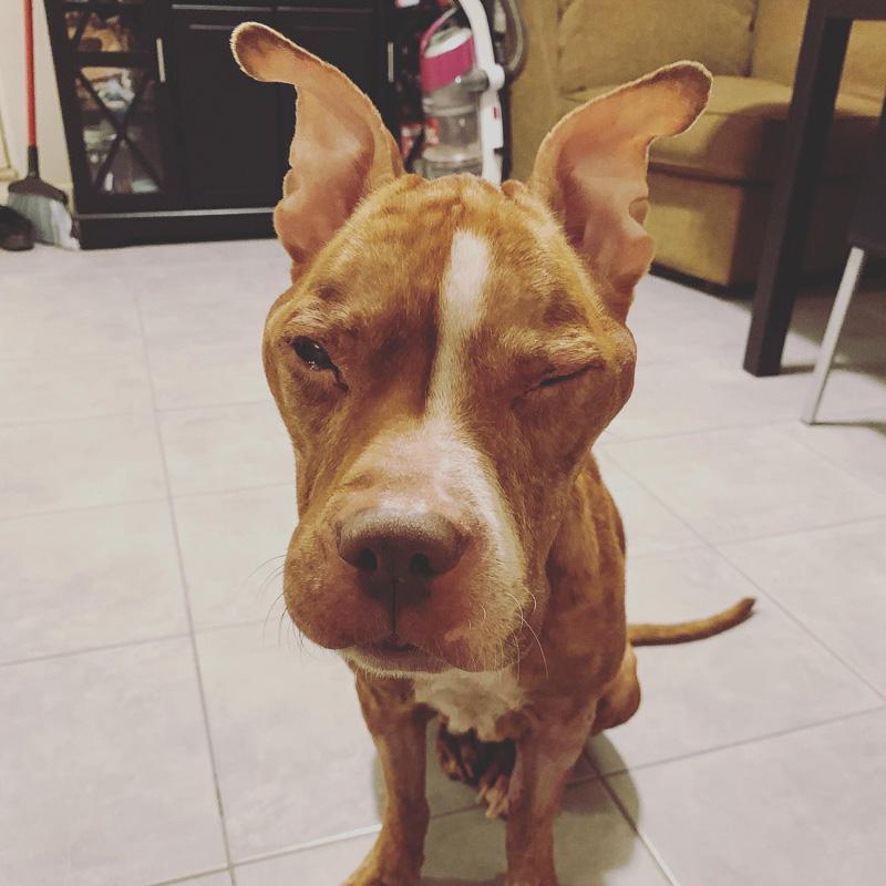 During her recovery, Hazel's story caugh...
