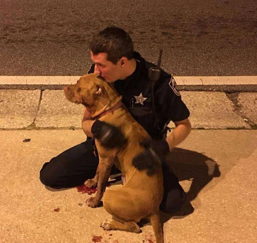 Justice was the first to find a new home...