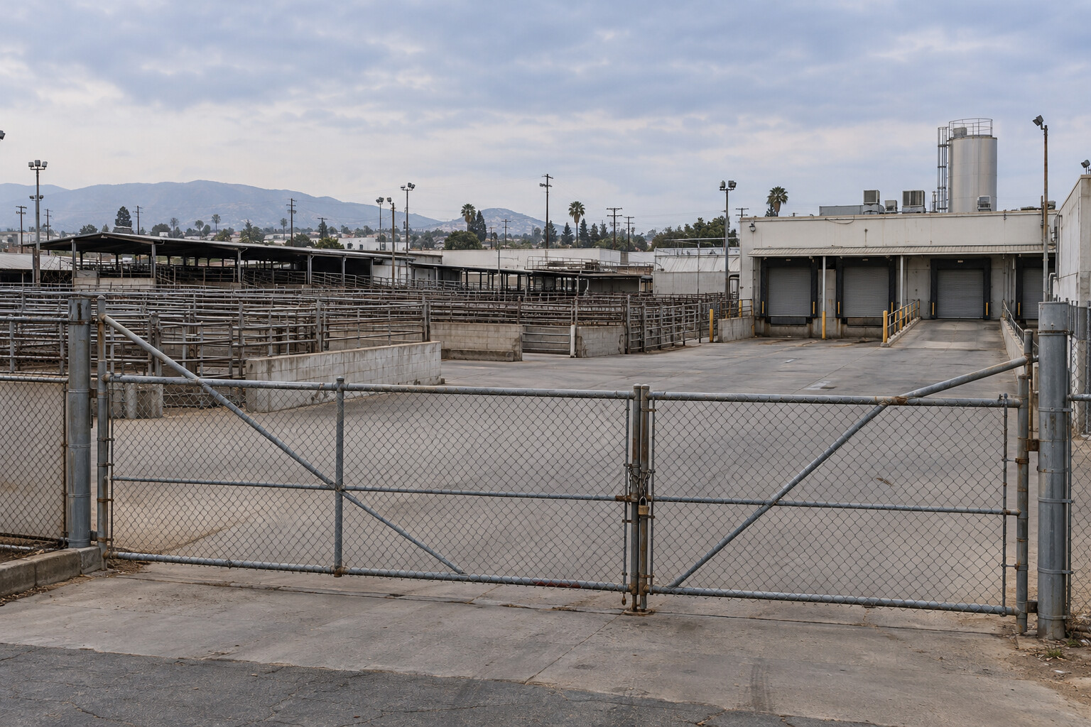 Editorial reconstruction of a shuttered cattle-processing facility in Southern California.