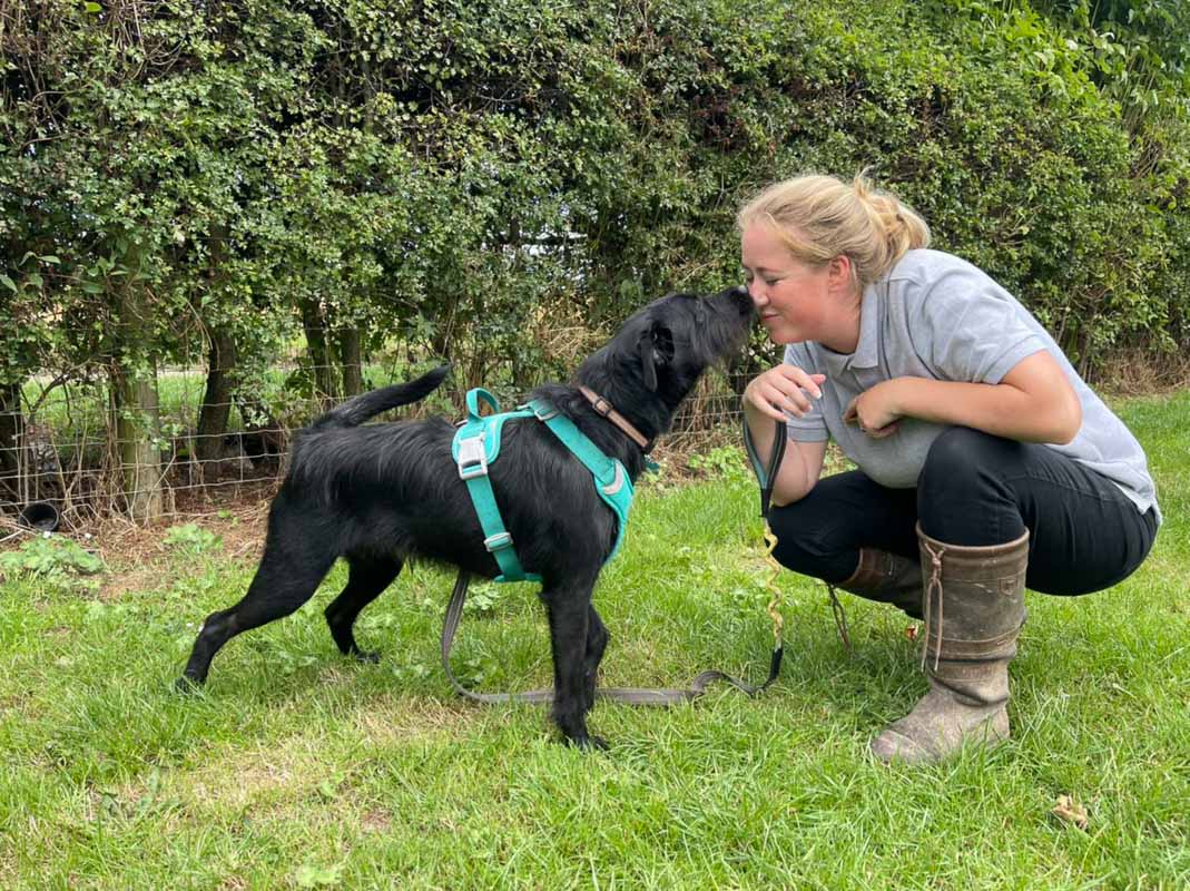 Markus arrived at the rescue center, ini...