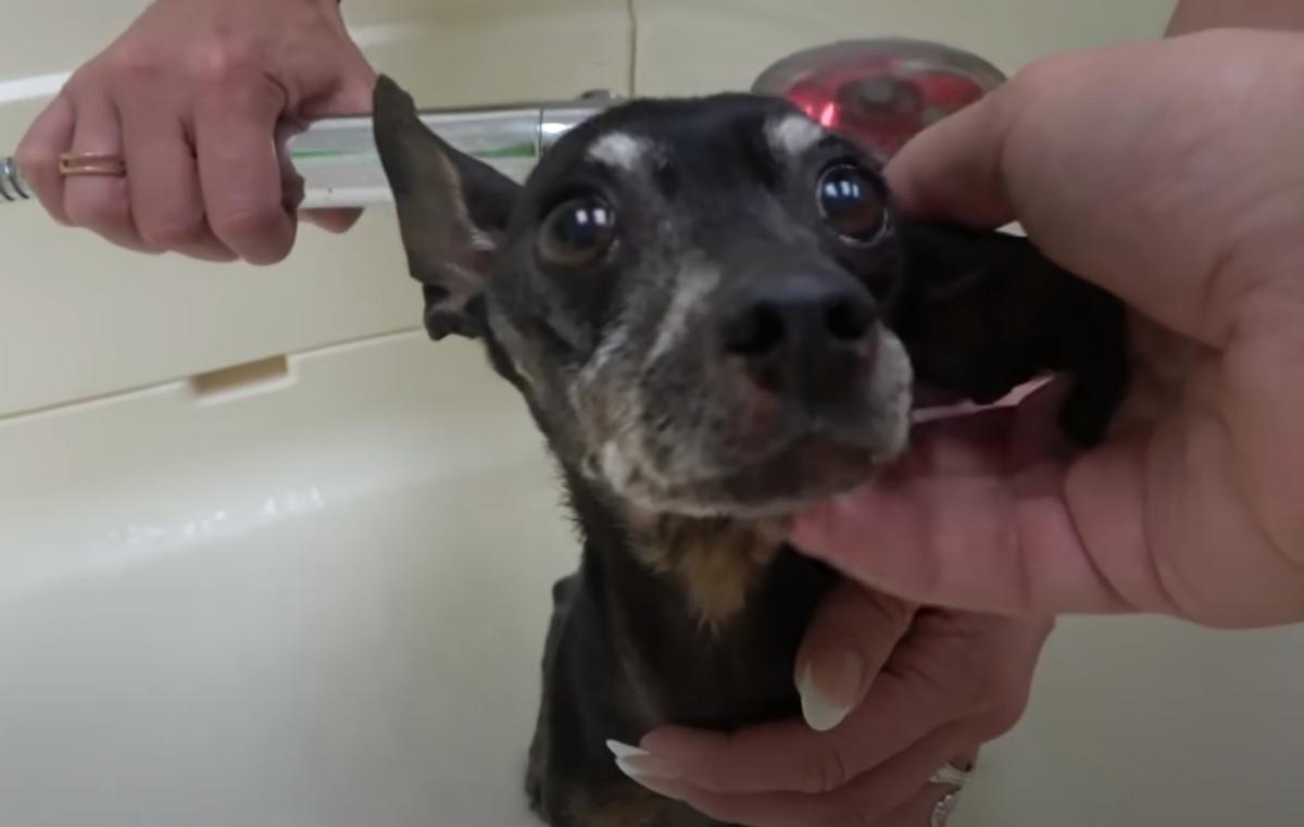 The rescue team shared their happiness a...