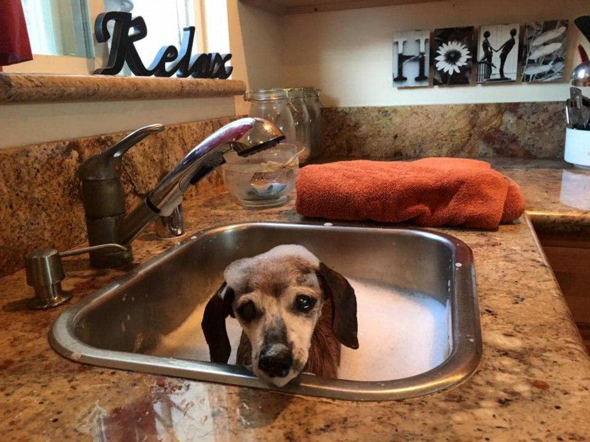 Being blind made her new surroundings es...