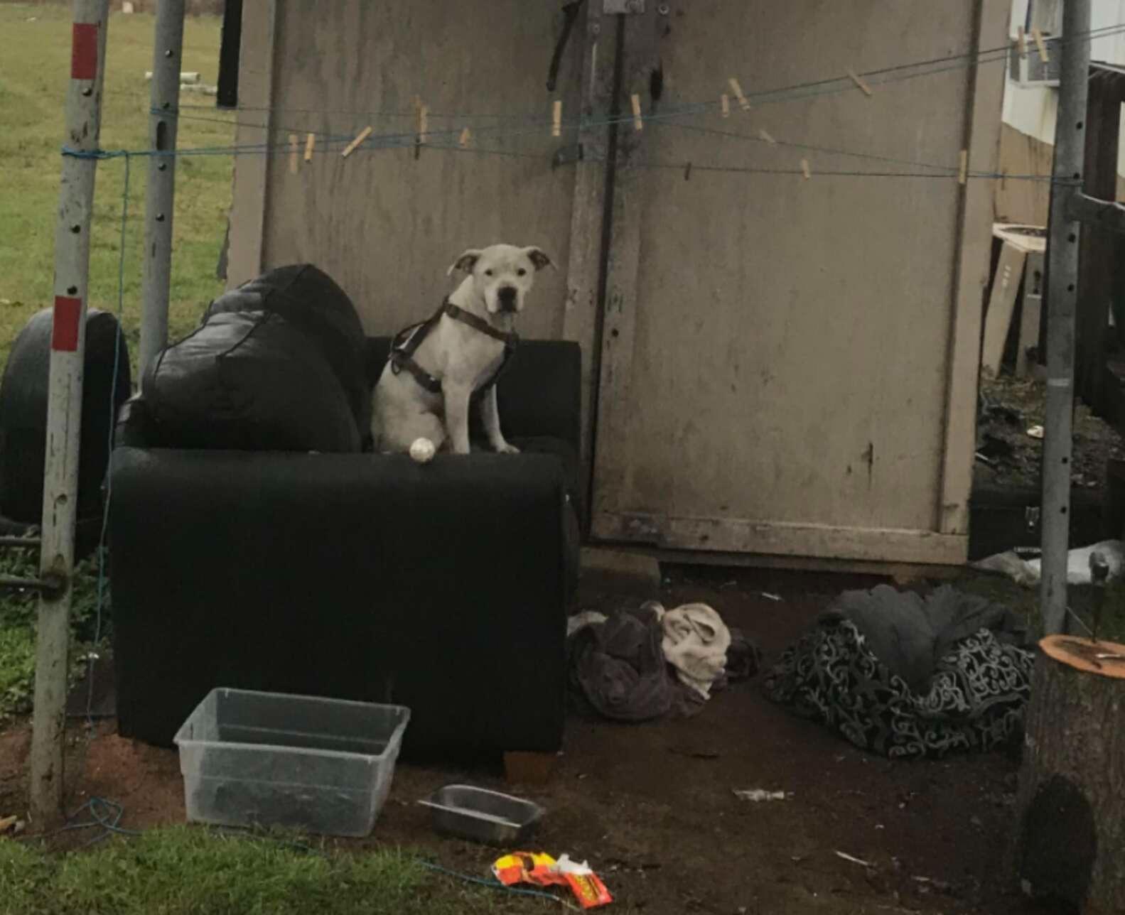 Murphy quickly endeared himself to the s...