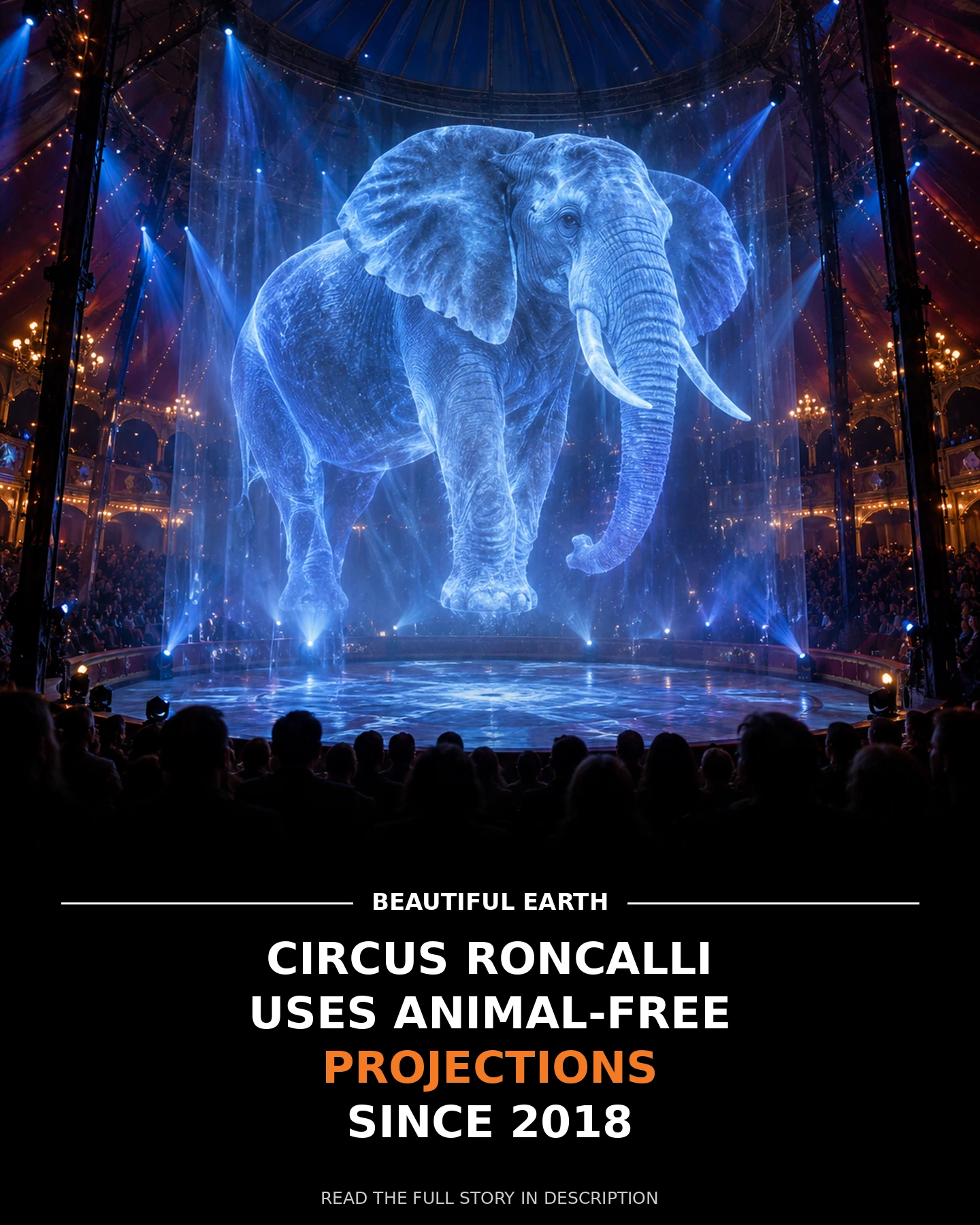 Projected elephant made of light above an animal-free circus ring