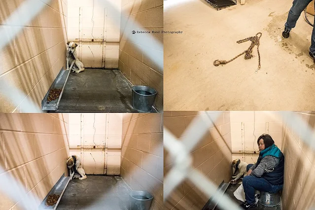 Extra image from article