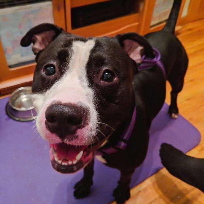 “I’M A GOOD BOY, I WOULD HAVE LOVE...