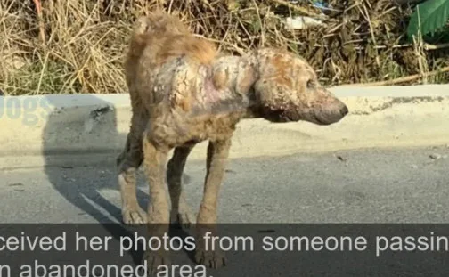 Her caregivers showed unwavering patienc...
